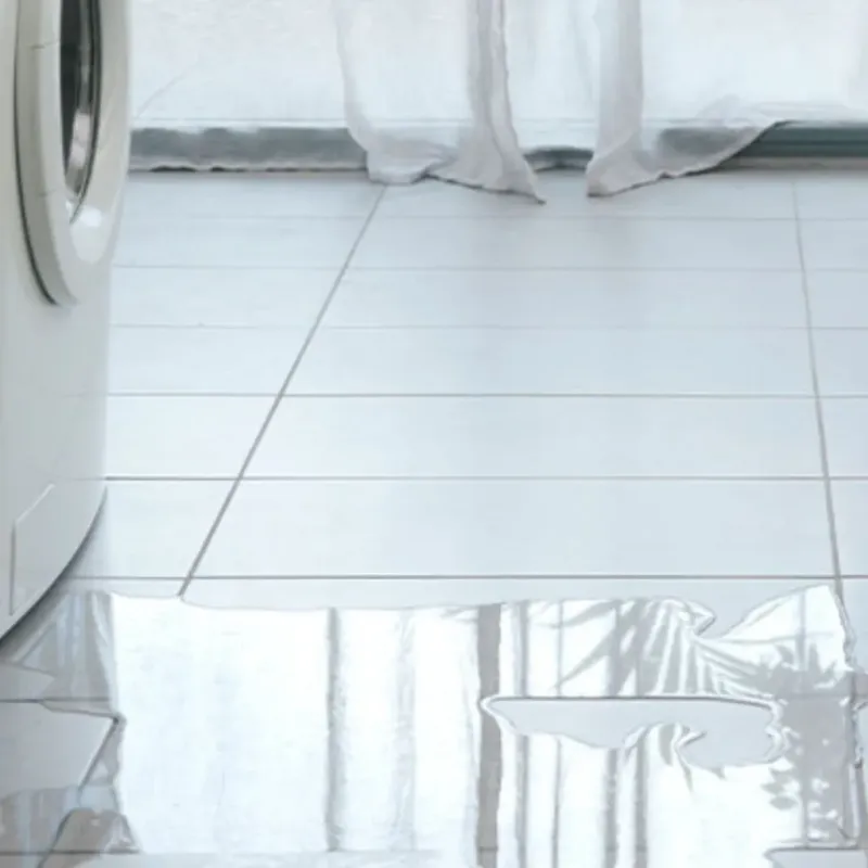 Appliance Leak Cleanup in Ennis, TX
