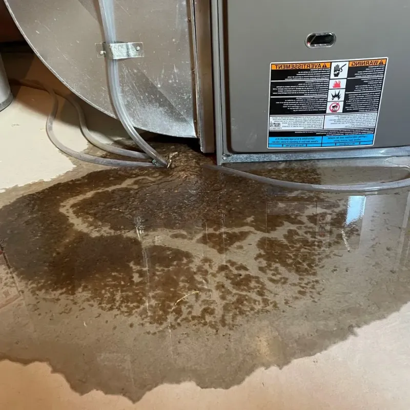 Pipe Burst and Leak Restoration in Ennis, TX