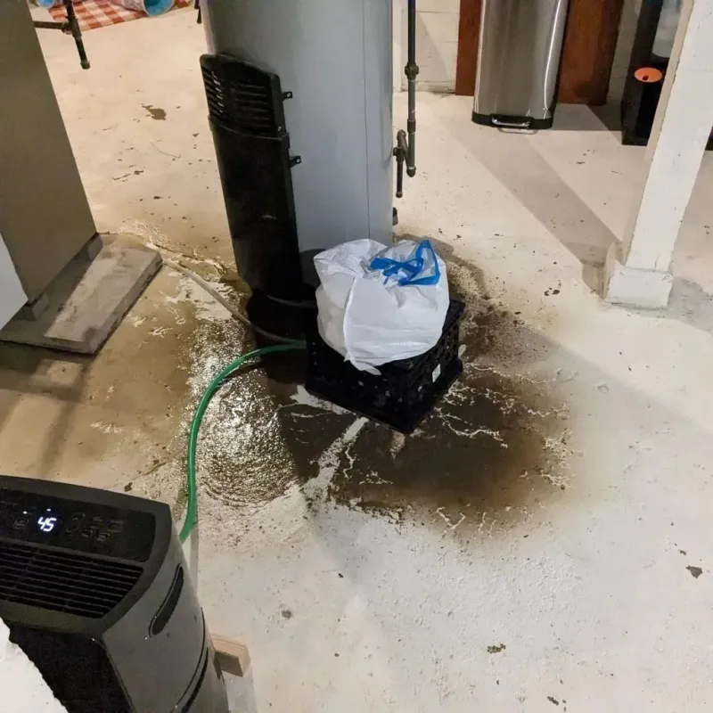 Sewage Backup Cleanup Service in Ennis, TX